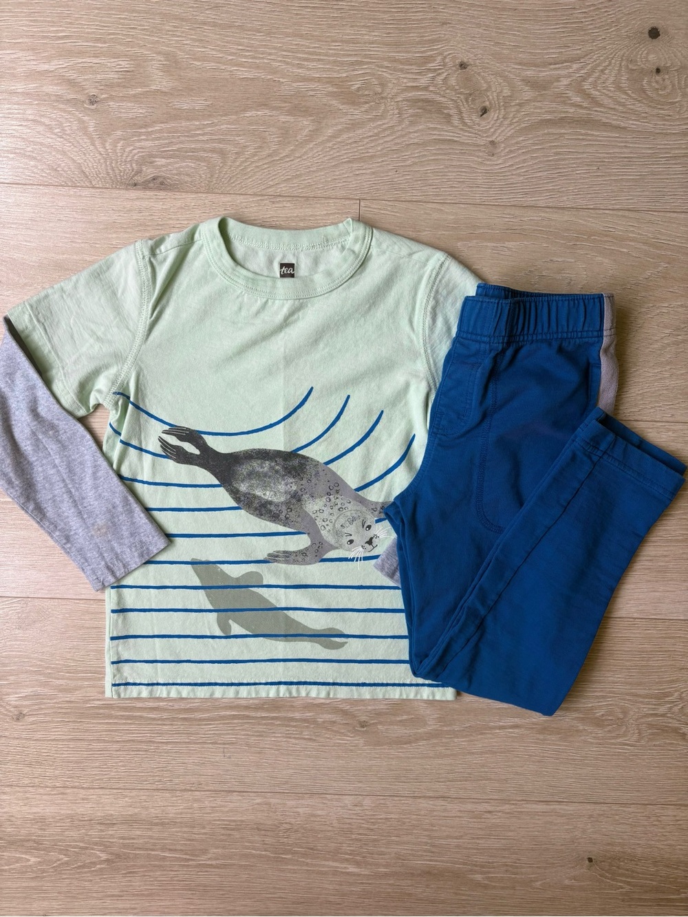Tea Collection Size 6